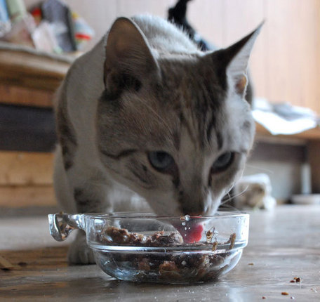 20150825E.jpg