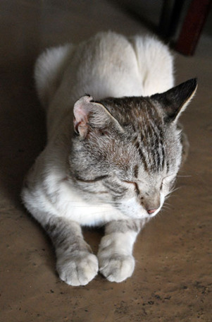20160718C.jpg